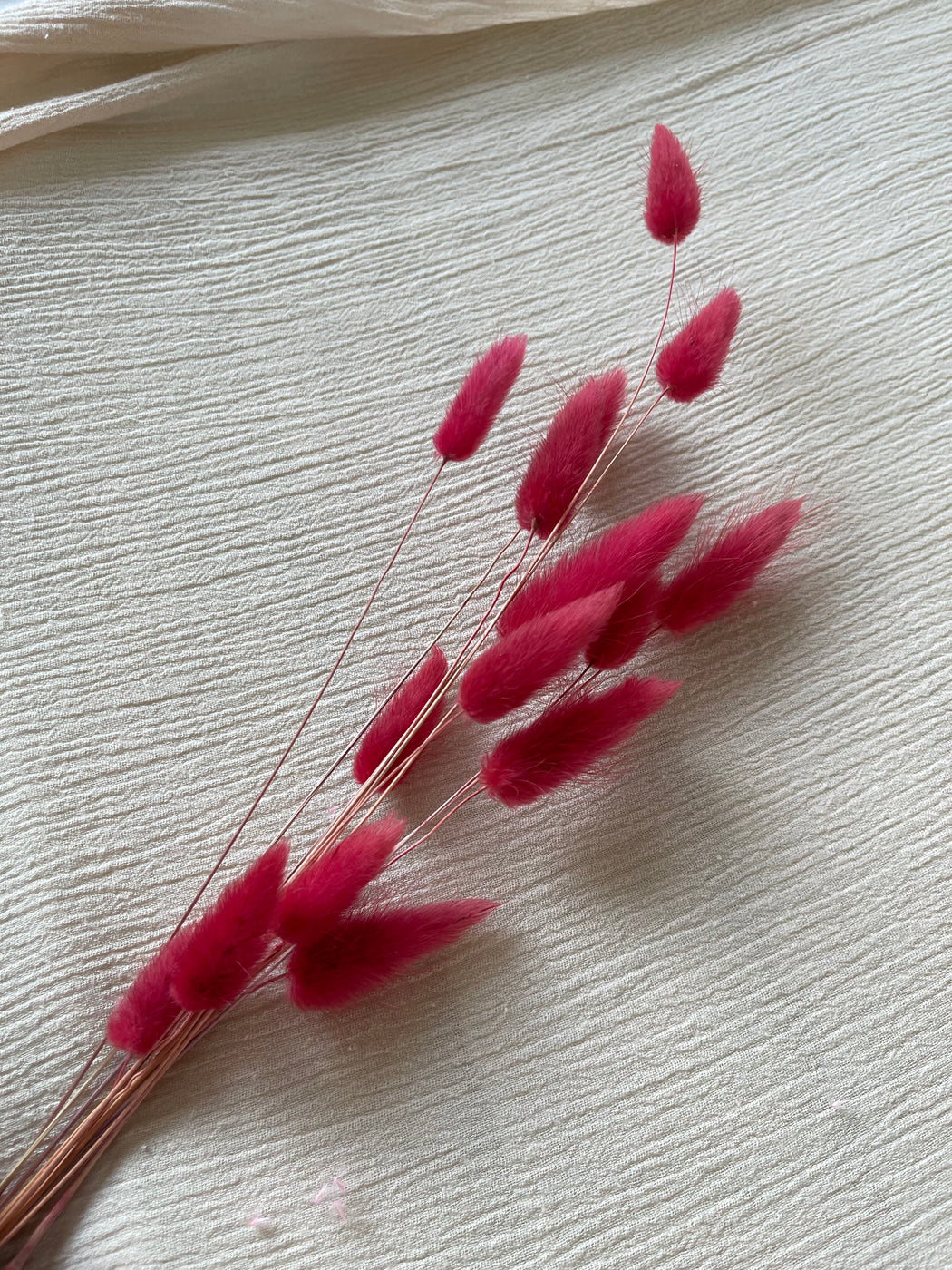 Hand Dyed Bunny Tails in Dark Pink