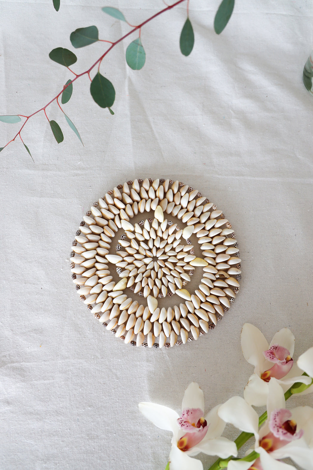 Circle of Life Cowrie Shell Plate Warmer
