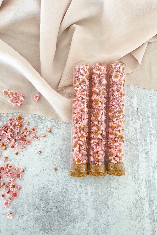 Dried Pink Starflower Glass Tube