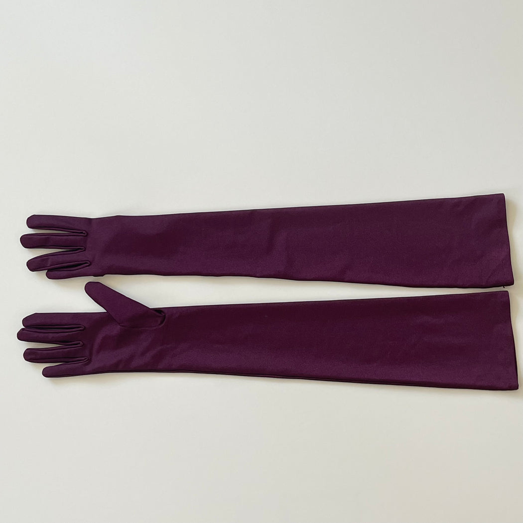Vintage Opera Gloves in Eggplant